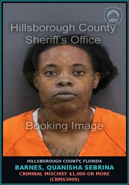 CCW arrest card for BARNES, QUANISHA SEBRINA in Hillsborough County: CRIMINAL MISCHIEF $1,000 OR MORE (CRMS3000)