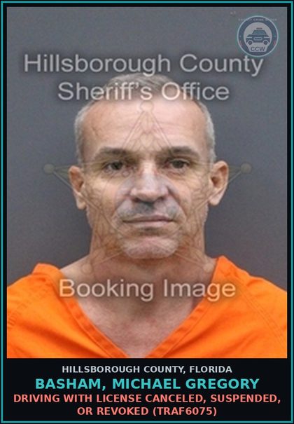 CCW arrest card for BASHAM, MICHAEL GREGORY in Hillsborough County: DRIVING WITH LICENSE CANCELED, SUSPENDED, OR REVOKED (TRAF6075)