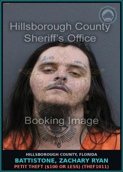 CCW arrest card for BATTISTONE, ZACHARY RYAN in Hillsborough County: PETIT THEFT ($100 OR LESS) (THEF1011)