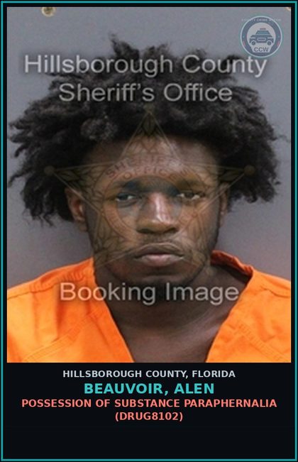CCW arrest card for BEAUVOIR, ALEN in Hillsborough County: POSSESSION OF DRUG PARAPHERNALIA (DRUG8102)