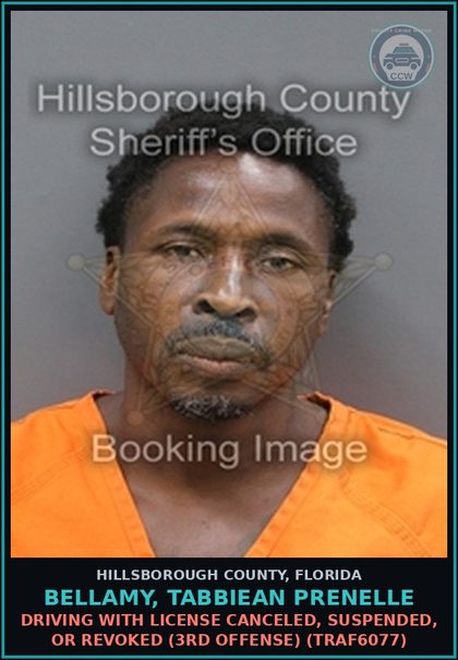 CCW arrest card for BELLAMY, TABBIEAN PRENELLE in Hillsborough County: DRIVING WITH LICENSE CANCELED, SUSPENDED, OR REVOKED (3RD OFFENSE) (TRAF6077)