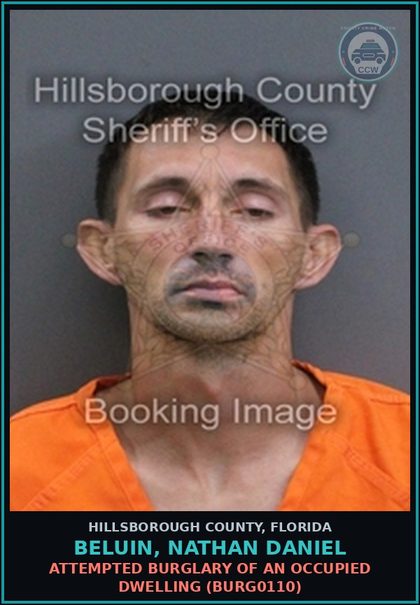 CCW arrest card for BELUIN, NATHAN DANIEL in Hillsborough County: ATTEMPTED BURGLARY OF AN OCCUPIED DWELLING (BURG0110)
