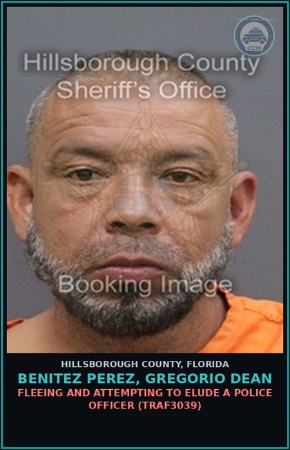 CCW arrest card for BENITEZ PEREZ, GREGORIO DEAN in Hillsborough County: FLEEING AND ATTEMPTING TO ELUDE A POLICE OFFICER (TRAF3039)