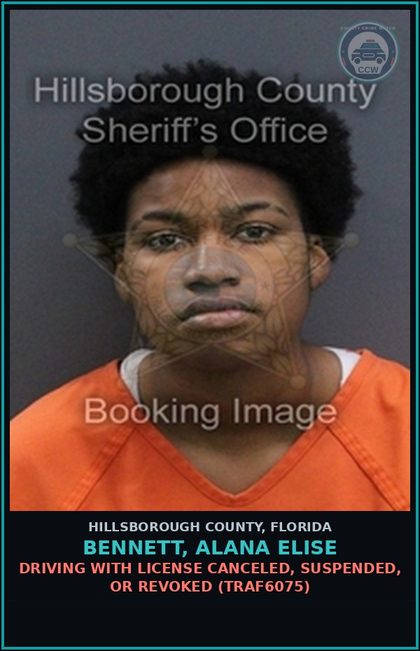 CCW arrest card for BENNETT, ALANA ELISE in Hillsborough County: DRIVING WITH LICENSE CANCELED, SUSPENDED, OR REVOKED (TRAF6075)