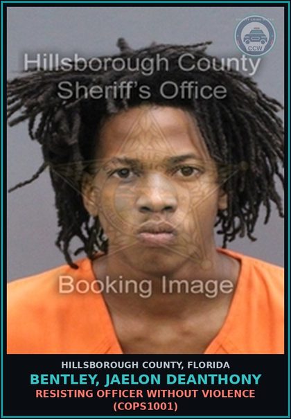 CCW arrest card for BENTLEY, JAELON DEANTHONY in Hillsborough County: DRIVING WITH LICENSE CANCELED, SUSPENDED, OR REVOKED (TRAF6075)