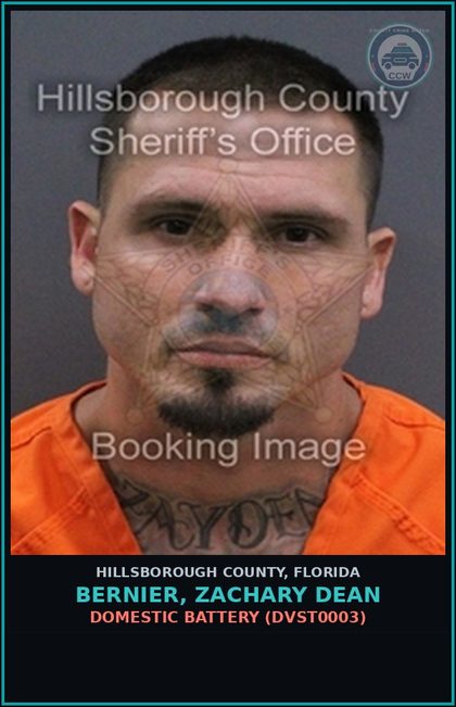 CCW arrest card for BERNIER, ZACHARY DEAN in Hillsborough County: DOMESTIC BATTERY (DVST0003)
