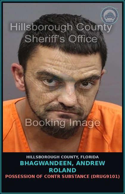 CCW arrest card for BHAGWANDEEN, ANDREW ROLAND in Hillsborough County: DRIVING WITH LICENSE CANCELED, SUSPENDED, OR REVOKED (3RD OFFENSE) (TRAF6077)
