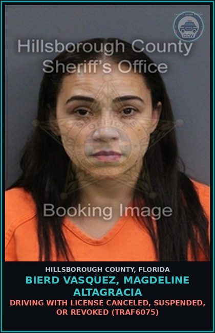 CCW arrest card for BIERD VASQUEZ, MAGDELINE ALTAGRACIA in Hillsborough County: DRIVING WITH LICENSE CANCELED, SUSPENDED, OR REVOKED (TRAF6075)