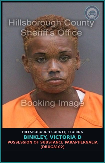 CCW arrest card for BINKLEY, VICTORIA D in Hillsborough County: TPORD 19-5(A)(4)(C) - OCCUPYING A BUILDING IN VIOLATION OF AN ORDER TO VACATE (TPOR0138)