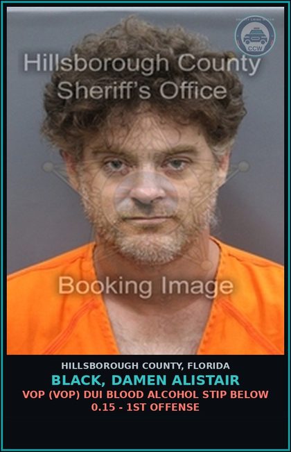 CCW arrest card for BLACK, DAMEN ALISTAIR in Hillsborough County: VOP (VOP) DUI BLOOD ALCOHOL STIP BELOW 0.15 - 1ST OFFENSE