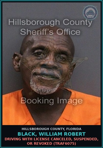 CCW arrest card for BLACK, WILLIAM ROBERT in Hillsborough County: DRIVING WITH LICENSE CANCELED, SUSPENDED, OR REVOKED (TRAF6075)