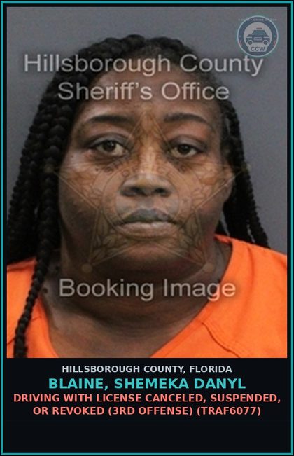 CCW arrest card for BLAINE, SHEMEKA DANYL in Hillsborough County: DRIVING WITH LICENSE CANCELED, SUSPENDED, OR REVOKED (3RD OFFENSE) (TRAF6077)