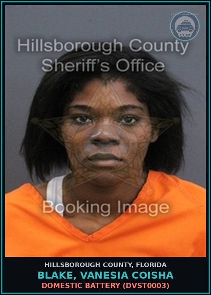 CCW arrest card for BLAKE, VANESIA COISHA in Hillsborough County: DOMESTIC BATTERY (DVST0003)