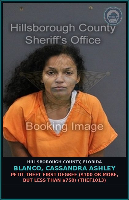 CCW arrest card for BLANCO, CASSANDRA ASHLEY in Hillsborough County: PETIT THEFT FIRST DEGREE ($100 OR MORE, BUT LESS THAN $750) (THEF1013)