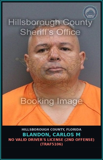 CCW arrest card for BLANDON, CARLOS M in Hillsborough County: NO VALID DRIVER'S LICENSE (2ND OFFENSE) (TRAF5106)