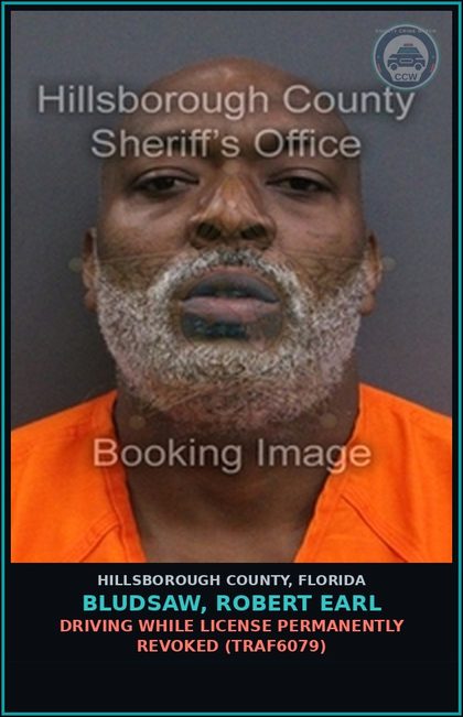 CCW arrest card for BLUDSAW, ROBERT EARL in Hillsborough County: DRIVING WHILE LICENSE PERMANENTLY REVOKED (TRAF6079)