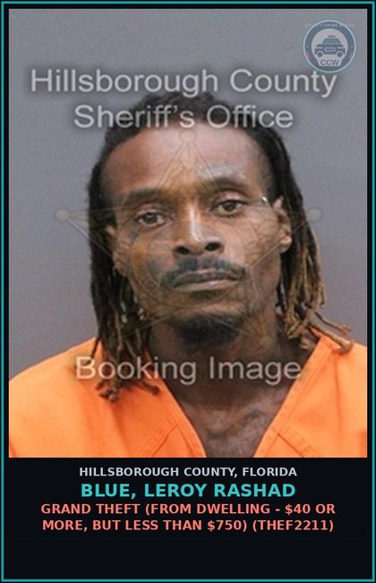CCW arrest card for BLUE, LEROY RASHAD in Hillsborough County: GRAND THEFT (FROM DWELLING - $40 OR MORE, BUT LESS THAN $750) (THEF2211)