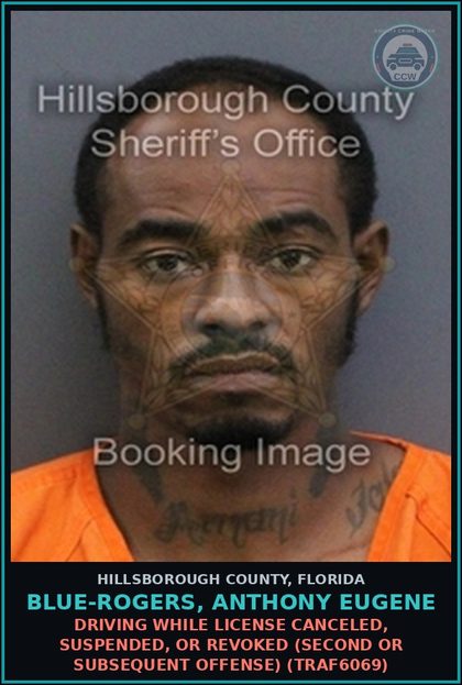 CCW arrest card for BLUE-ROGERS, ANTHONY EUGENE in Hillsborough County: DRIVING WHILE LICENSE CANCELED, SUSPENDED, OR REVOKED (SECOND OR SUBSEQUENT OFFENSE) (TRAF6069)