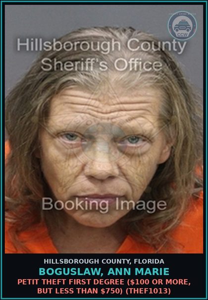 CCW arrest card for BOGUSLAW, ANN MARIE in Hillsborough County: PETIT THEFT FIRST DEGREE ($100 OR MORE, BUT LESS THAN $750) (THEF1013)