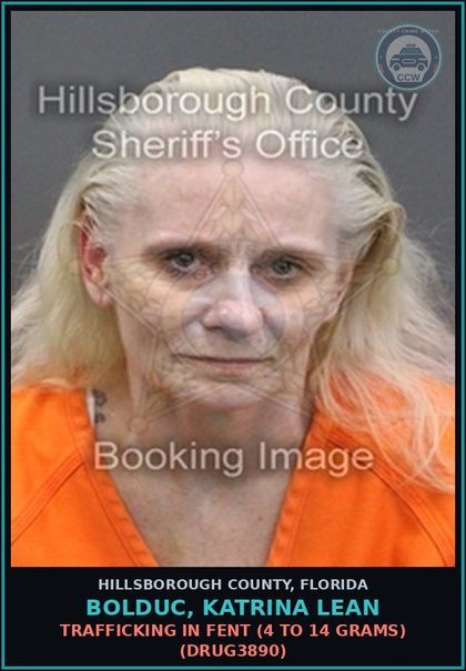 CCW arrest card for BOLDUC, KATRINA LEAN in Hillsborough County: POSSESSION OF DRUG PARAPHERNALIA (DRUG8102)