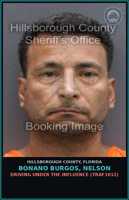 CCW arrest card for BONANO BURGOS, NELSON in Hillsborough County: DRIVING UNDER THE INFLUENCE (TRAF1012)