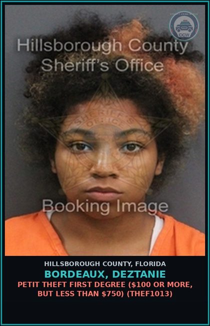 CCW arrest card for BORDEAUX, DEZTANIE in Hillsborough County: PETIT THEFT FIRST DEGREE ($100 OR MORE, BUT LESS THAN $750) (THEF1013)