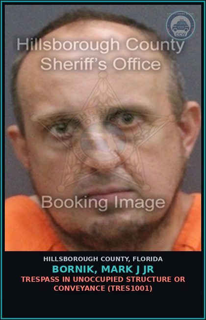 CCW arrest card for BORNIK, MARK J JR in Hillsborough County: CRIMINAL MISCHIEF (MORE THAN $200, LESS THAN $1,000) (CRMS2000)