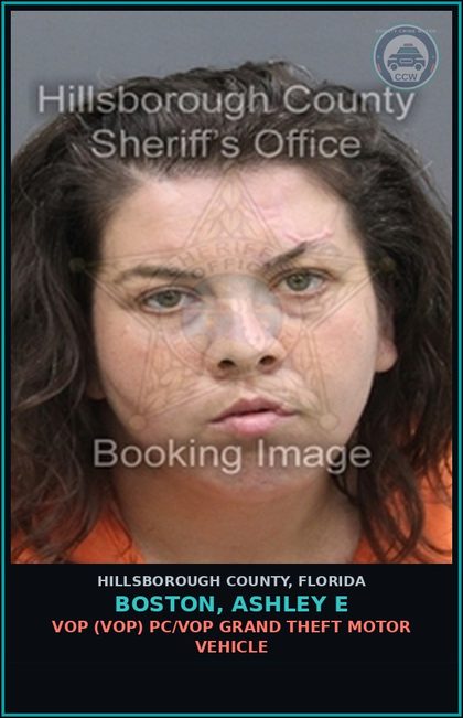 CCW arrest card for BOSTON, ASHLEY E in Hillsborough County: VOP (VOP) PC/VOP GRAND THEFT MOTOR VEHICLE