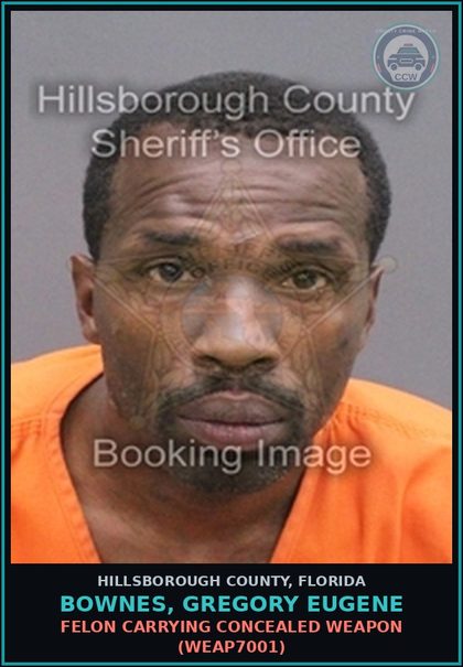 CCW arrest card for BOWNES, GREGORY EUGENE in Hillsborough County: POSSESSION OF contr substance (DRUG9101)