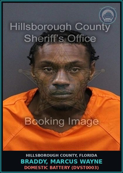 CCW arrest card for BRADDY, MARCUS WAYNE in Hillsborough County: DOMESTIC BATTERY (DVST0003)