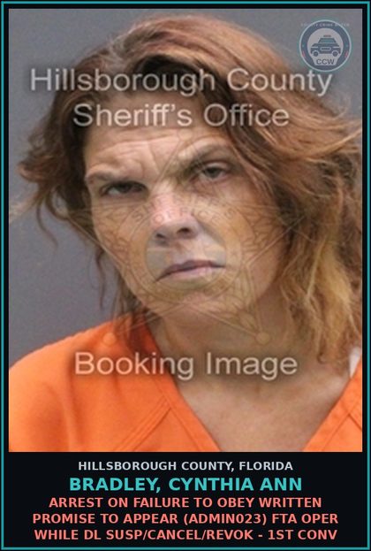 CCW arrest card for BRADLEY, CYNTHIA ANN in Hillsborough County: ARREST ON FAILURE TO OBEY WRITTEN PROMISE TO APPEAR (ADMIN023) FTA OPER WHILE DL SUSP/CANCEL/REVOK - 1ST CONV