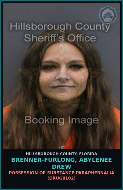 CCW arrest card for BRENNER-FURLONG, ABYLENEE DREW in Hillsborough County: POSSESSION OF DRUG PARAPHERNALIA (DRUG8102)