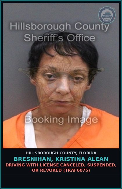 CCW arrest card for BRESNIHAN, KRISTINA ALEAN in Hillsborough County: DRIVING WITH LICENSE CANCELED, SUSPENDED, OR REVOKED (TRAF6075)