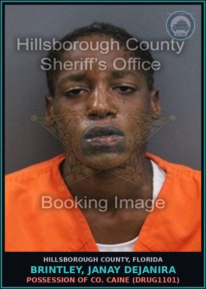 CCW arrest card for BRINTLEY, JANAY DEJANIRA in Hillsborough County: POSSESSION OF COCAINE (DRUG1101)