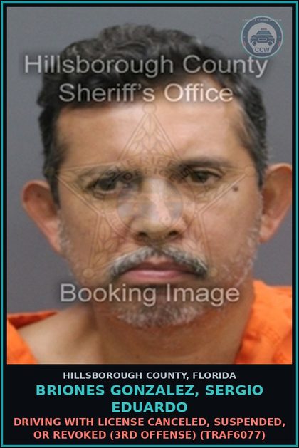 CCW arrest card for BRIONES GONZALEZ, SERGIO EDUARDO in Hillsborough County: DRIVING WITH LICENSE CANCELED, SUSPENDED, OR REVOKED (3RD OFFENSE) (TRAF6077)