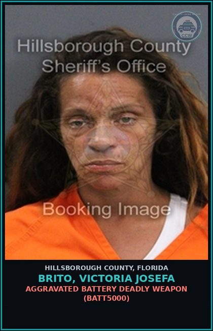 CCW arrest card for BRITO, VICTORIA JOSEFA in Hillsborough County: AGGRAVATED BATTERY DEADLY WEAPON (BATT5000)