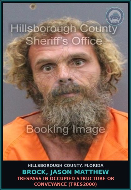CCW arrest card for BROCK, JASON MATTHEW in Hillsborough County: TRESPASS IN OCCUPIED STRUCTURE OR CONVEYANCE (TRES2000)