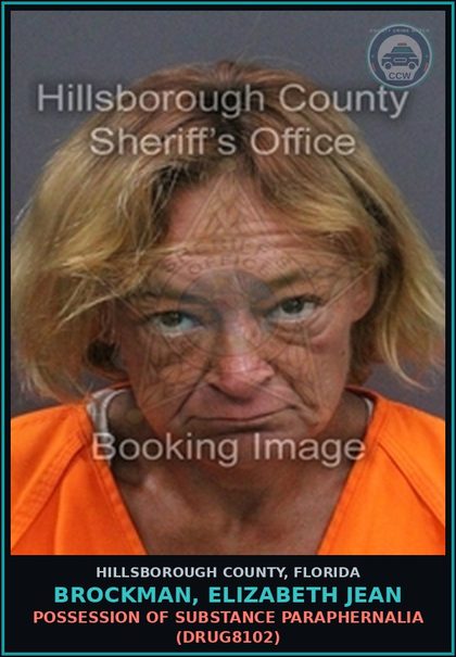 CCW arrest card for BROCKMAN, ELIZABETH JEAN in Hillsborough County: TAMPERING WITH PHYSICAL EVIDENCE (TAMP4005)