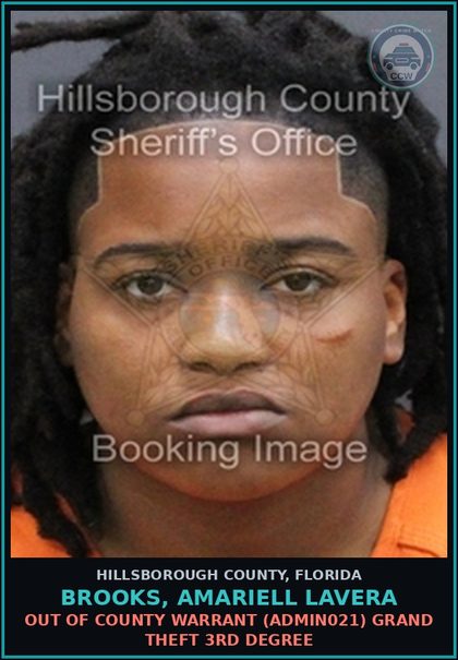 CCW arrest card for BROOKS, AMARIELL LAVERA in Hillsborough County: OUT OF COUNTY WARRANT (ADMIN021) GRAND THEFT 3RD DEGREE