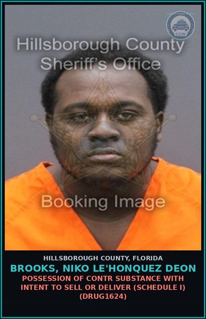 CCW arrest card for BROOKS, NIKO LE'HONQUEZ DEON in Hillsborough County: POSSESSION OF contr substance WITH INTENT TO SELL OR DELIVER (SCHEDULE I) (DRUG1624)