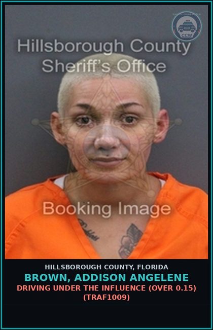 CCW arrest card for BROWN, ADDISON ANGELENE in Hillsborough County: DRIVING UNDER THE INFLUENCE (OVER 0.15) (TRAF1009)
