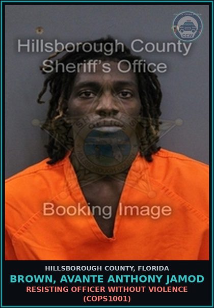 CCW arrest card for BROWN, AVANTE ANTHONY JAMOD in Hillsborough County: FALSE NAME TO LAW ENFORCEMENT OFFICER (COPS2060)