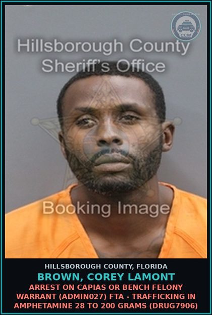CCW arrest card for BROWN, COREY LAMONT in Hillsborough County: ARREST ON CAPIAS OR BENCH FELONY WARRANT (ADMIN027) FTA - TRAFFICKING IN AMPHETAMINE 28 TO 200 GRAMS (DRUG7906)