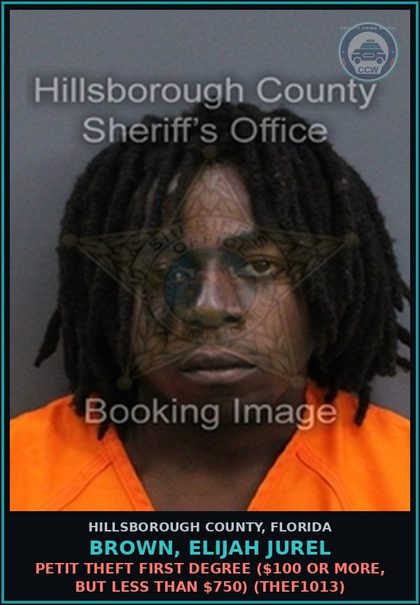 CCW arrest card for BROWN, ELIJAH JUREL in Hillsborough County: PETIT THEFT FIRST DEGREE ($100 OR MORE, BUT LESS THAN $750) (THEF1013)