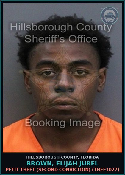 CCW arrest card for BROWN, ELIJAH JUREL in Hillsborough County: PETIT THEFT (SECOND CONVICTION) (THEF1027)