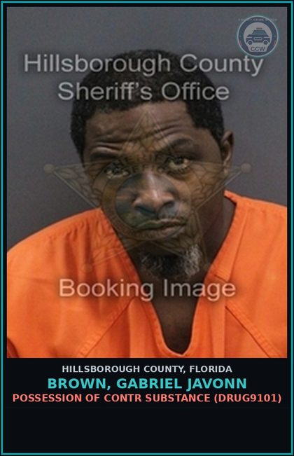 CCW arrest card for BROWN, GABRIEL JAVONN in Hillsborough County: POSSESSION OF contr substance (DRUG9101)