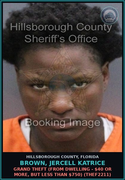 CCW arrest card for BROWN, JERCELL KATRICE in Hillsborough County: FALSE INFORMATION ON PAWNBROKER FORM (UNDER $300) (PAWN8011)