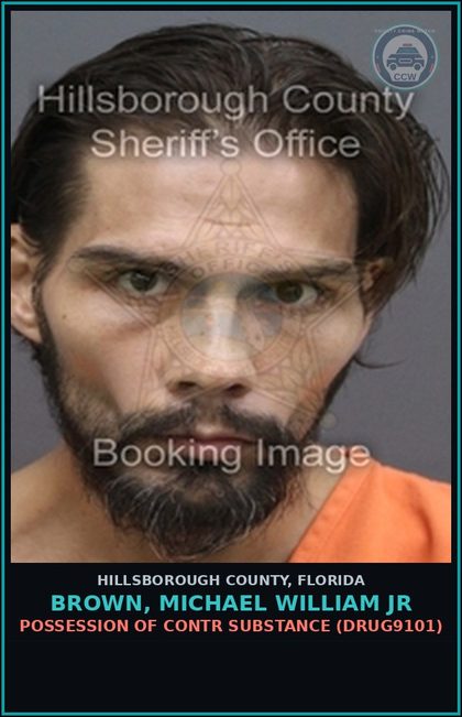 CCW arrest card for BROWN, MICHAEL WILLIAM JR in Hillsborough County: POSSESSION OF contr substance (DRUG9101)