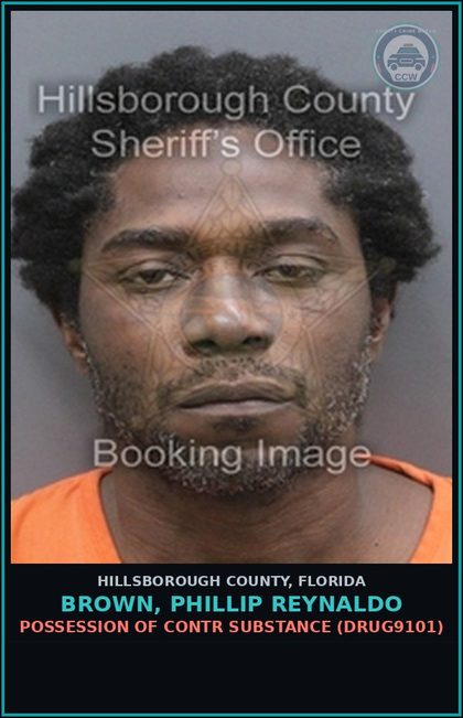 CCW arrest card for BROWN, PHILLIP REYNALDO in Hillsborough County: POSSESSION OF contr substance (DRUG9101)