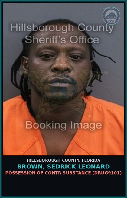 CCW arrest card for BROWN, SEDRICK LEONARD in Hillsborough County: POSSESSION OF contr substance (DRUG9101)